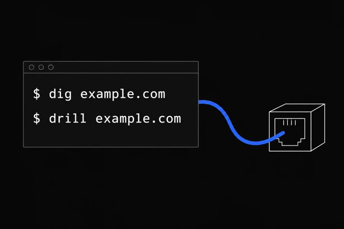 Terminal showing dig and drill commands for example.com.